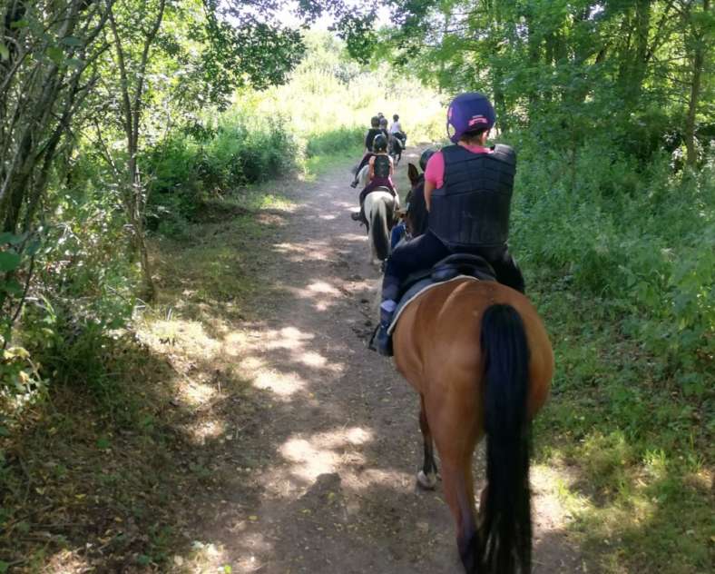 Ecole équitation Saint-Avold École d'équitation de Saint-Avold