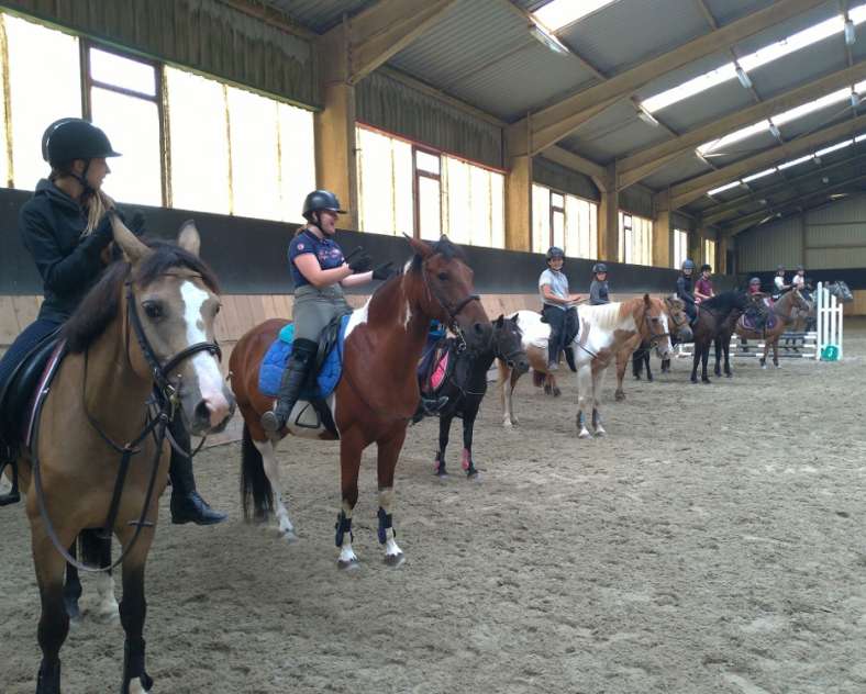 Ecole équitation Saint-Avold École d'équitation de Saint-Avold