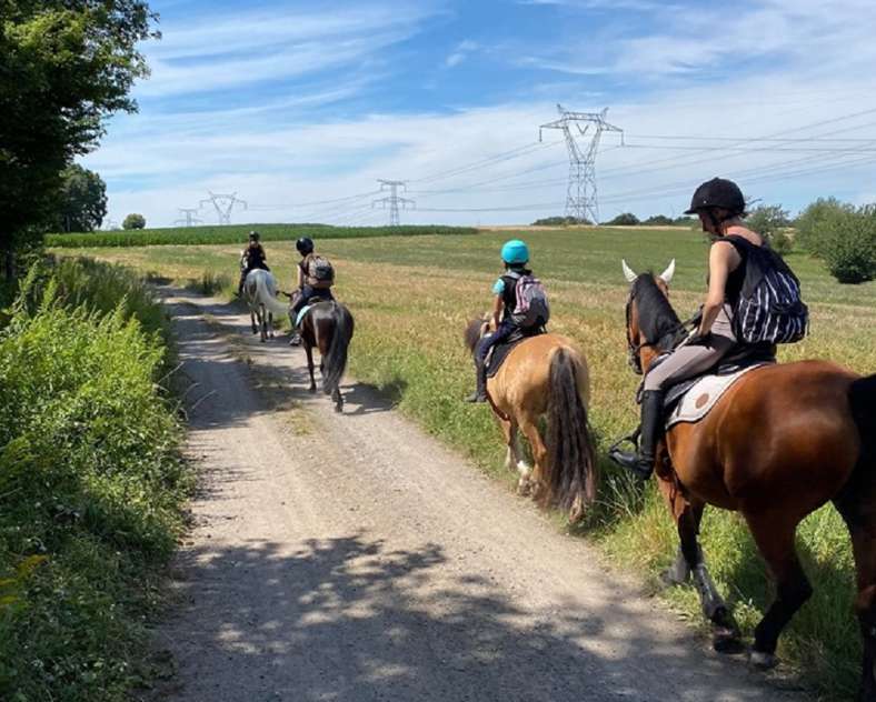 Ecole équitation Saint-Avold École d'équitation de Saint-Avold