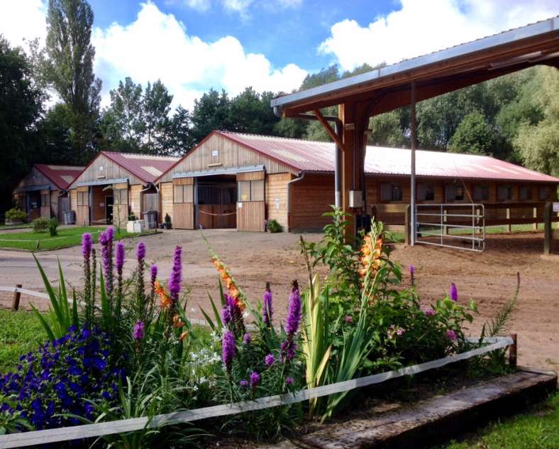 Ecole équitation Saint-Avold École d'équitation de Saint-Avold