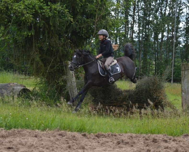 Ecole équitation Saint-Avold École d'équitation de Saint-Avold