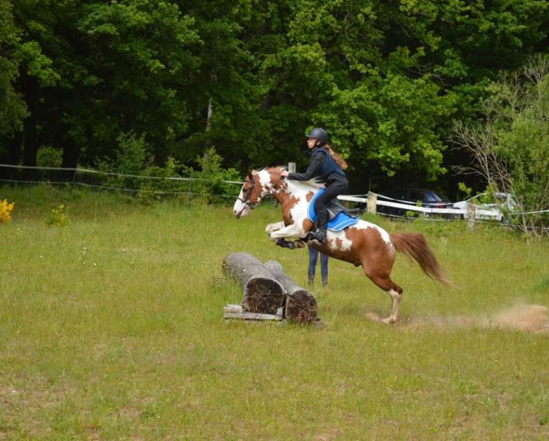 Ecole équitation Saint-Avold École d'équitation de Saint-Avold