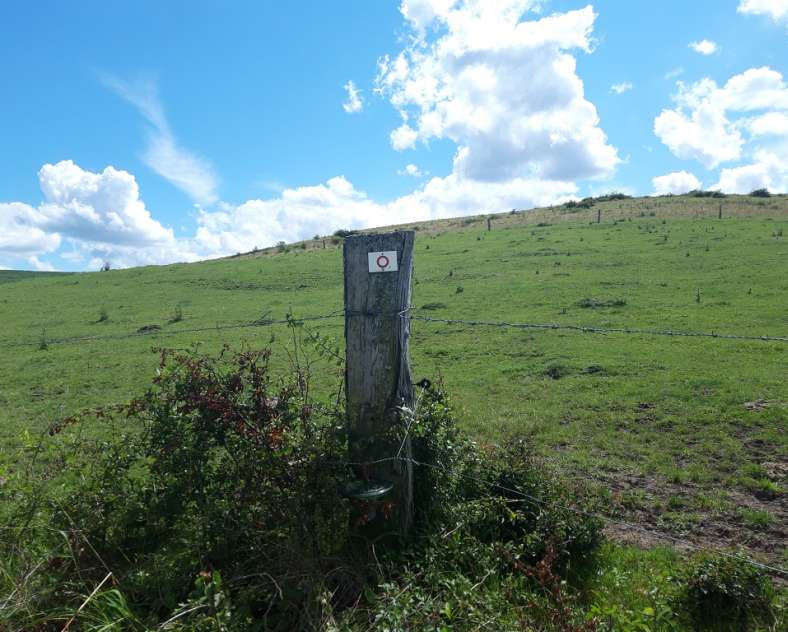 CIRCUITS DU CLUB VOSGIEN SECTION DE SAINT-AVOLD