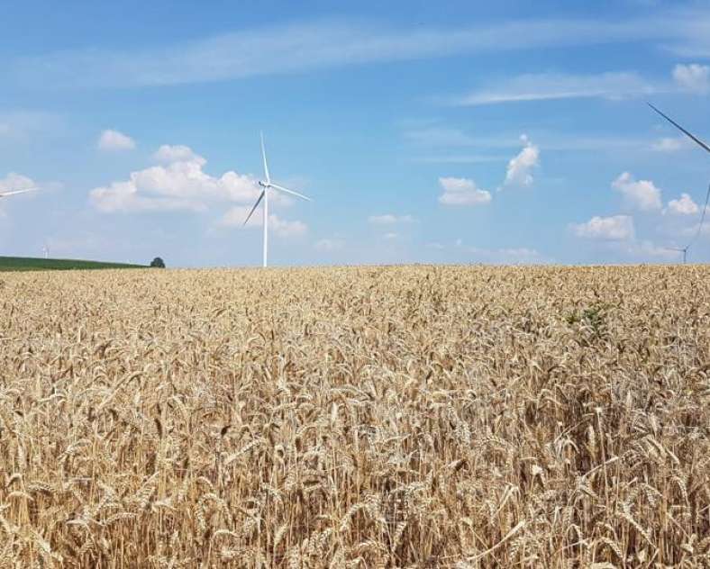 Maison Vagner  Maison Vagner