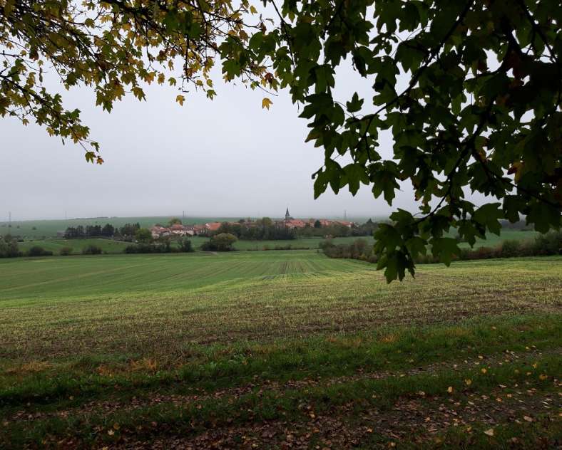 OT Saint-Avold Coeur de Moselle Circuit Walving