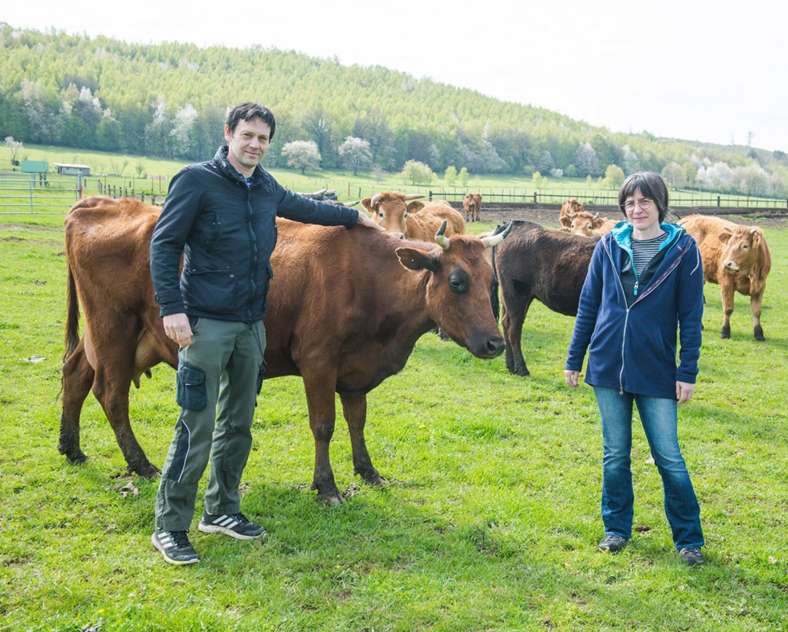 Gilles Dorschner Ferme du château
