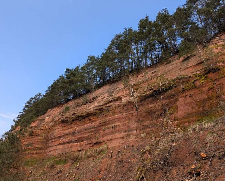OT Saint-Avold Coeur de Moselle Sentier du Grand Duc