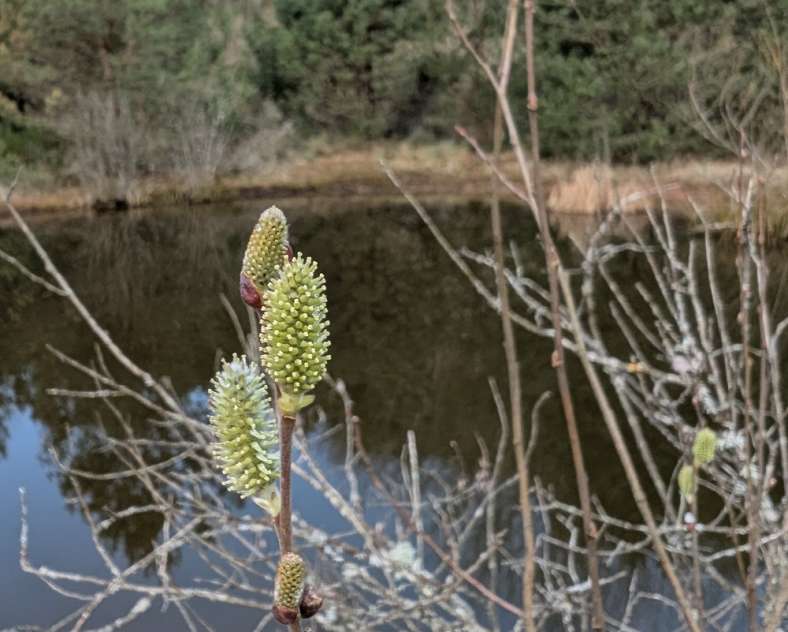 OT Saint-Avold Coeur de Moselle Sentier du Grand Duc