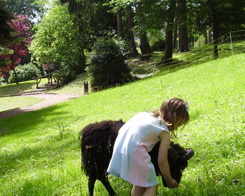 Sarreguemines Tourisme  DER STADTPARK VON SARREGUEMINES