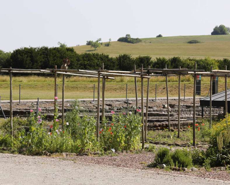 Gilles Pecqueur DER GALLO-RÖMISCHE GARTEN