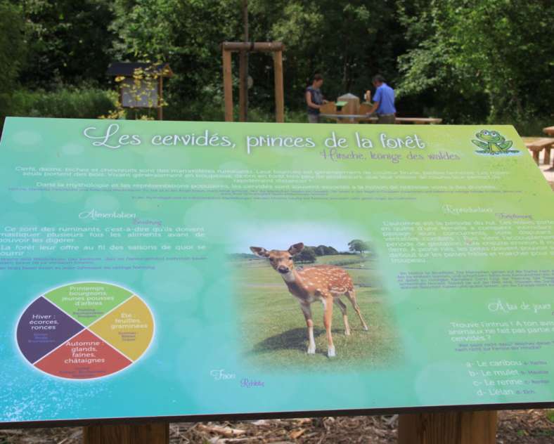 Sarreguemines Tourisme Radtour auf den Spuren der Römer