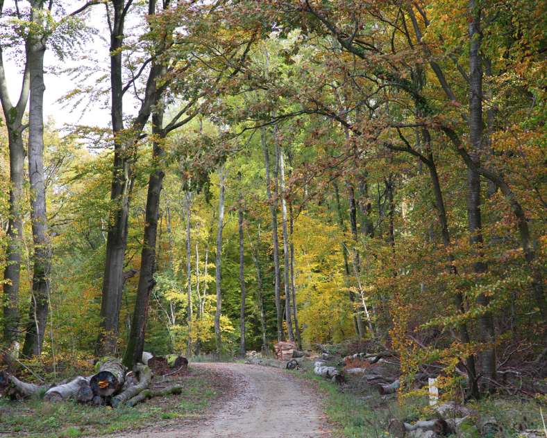 Autrement Vu  Wanderwege in Woelfling-les-Sarreguemines