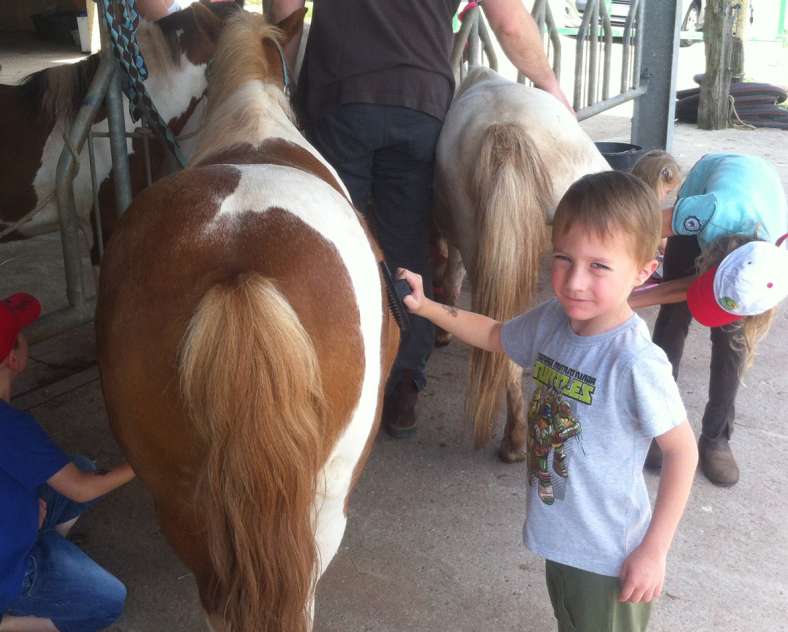 CLang-SarregueminesTourisme Balade à poneys - Élevage Del Navajo