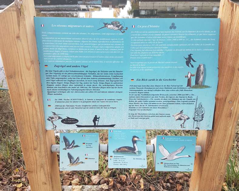 Sarreguemines Tourisme REIHERPFAD