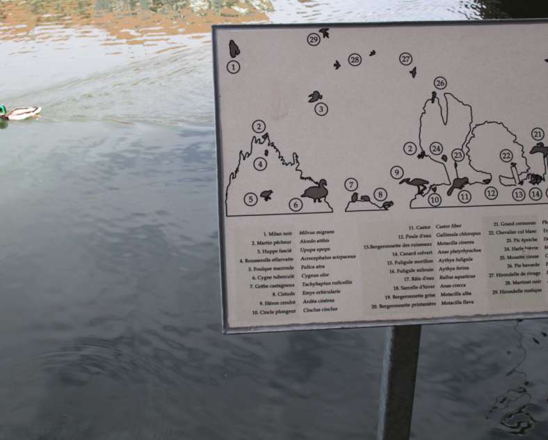 Sarreguemines Tourisme REIHERPFAD