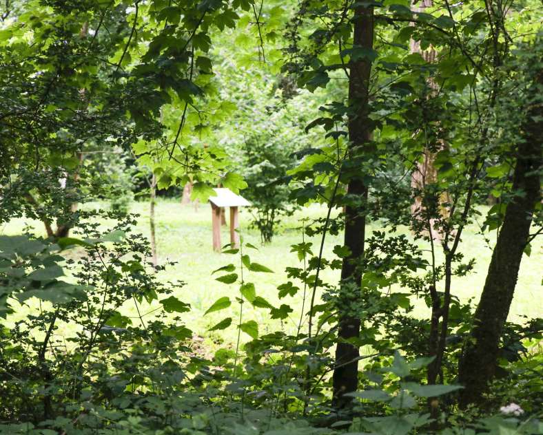 ESiest - Sarreguemines Tourisme ARBORETUM IN BLIES-GUERSVILLER