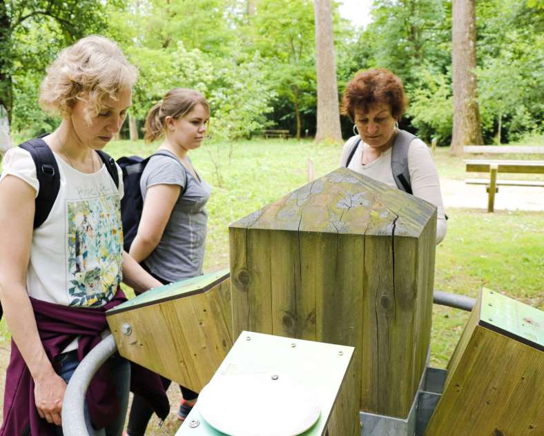 ESiest - Sarreguemines Tourisme ARBORETUM IN BLIES-GUERSVILLER