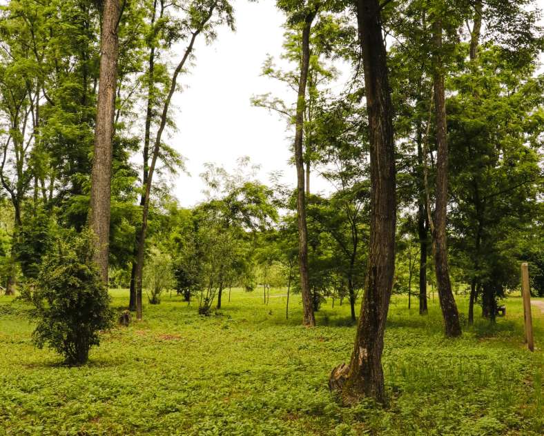 ESiest - Sarreguemines Tourisme ARBORETUM IN BLIES-GUERSVILLER