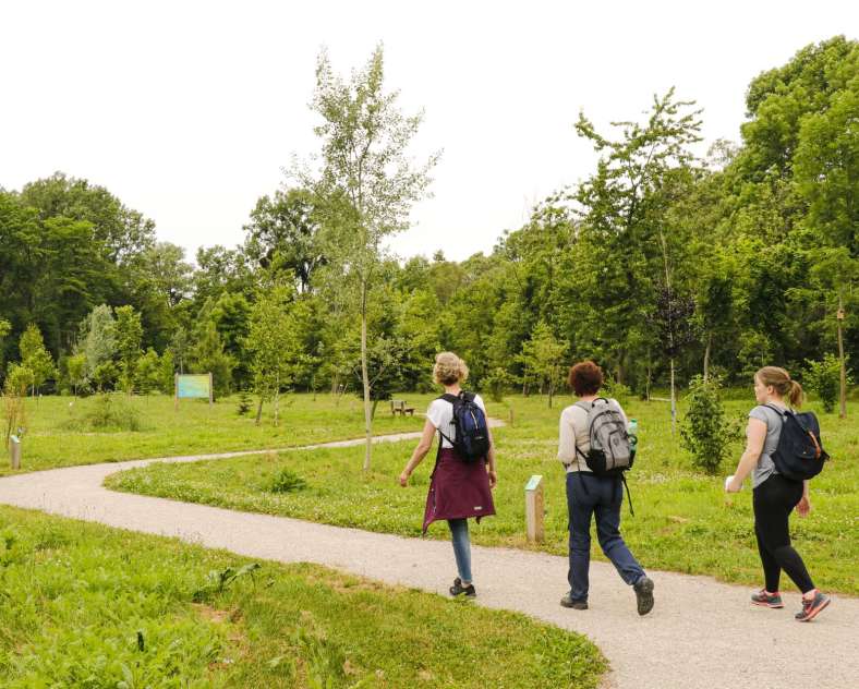 ESiest - Sarreguemines Tourisme ARBORETUM IN BLIES-GUERSVILLER