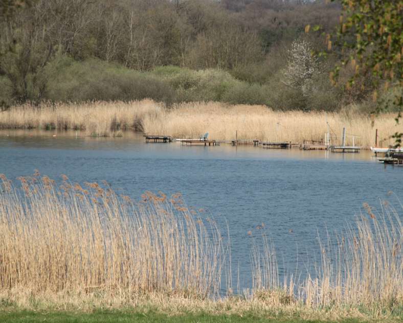 Sarreguemines Tourisme Teichrundgang