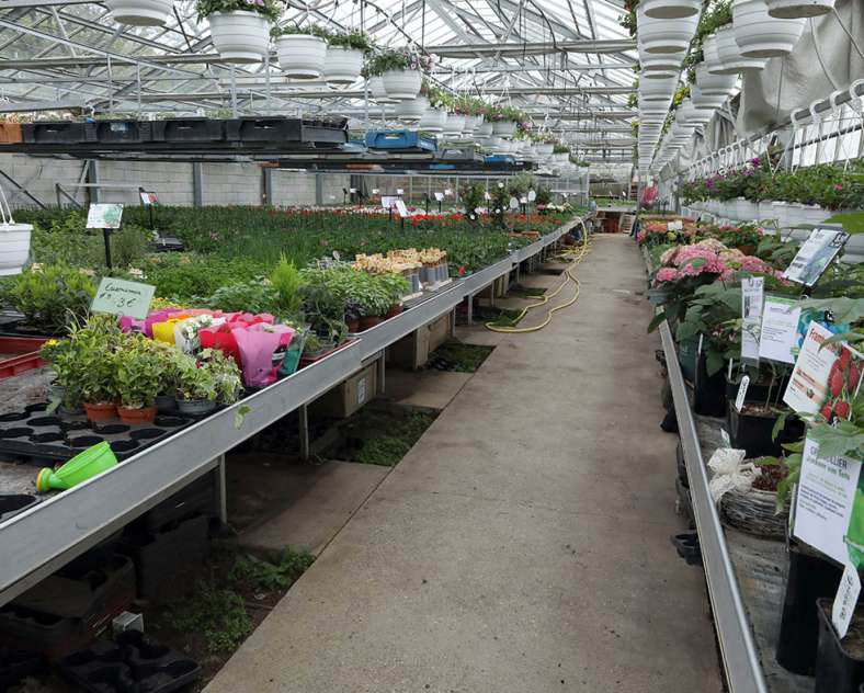 Ombres et lumières  Horticulture litzenburger