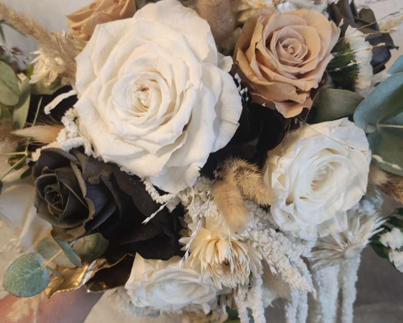 Laurène Rang La petite fougère