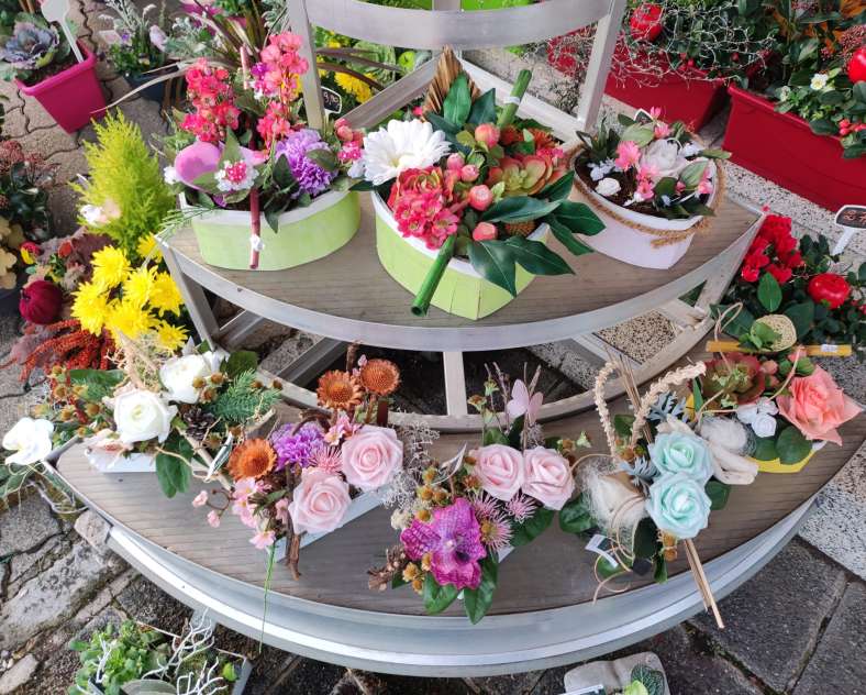 Laurène Rang La petite fougère