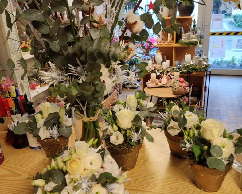 Laurène Rang La petite fougère