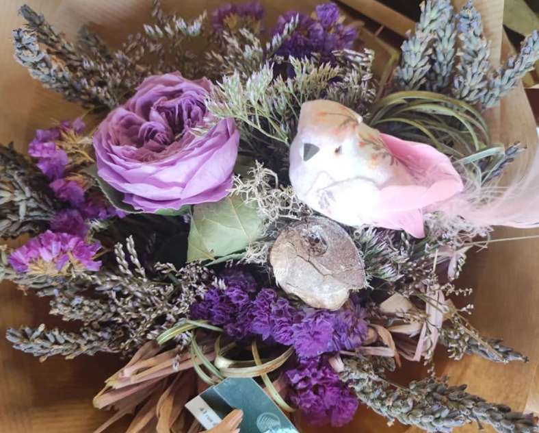 Laurène Rang La petite fougère