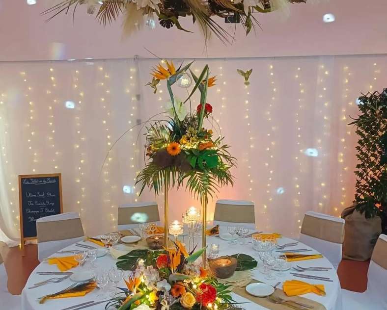 Laurène Rang La petite fougère