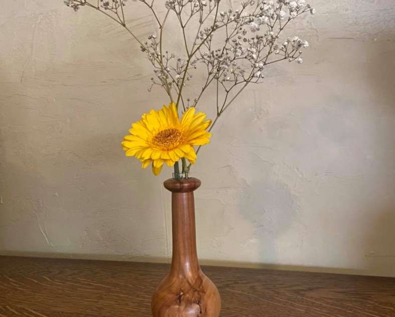 Décolobois Décolobois