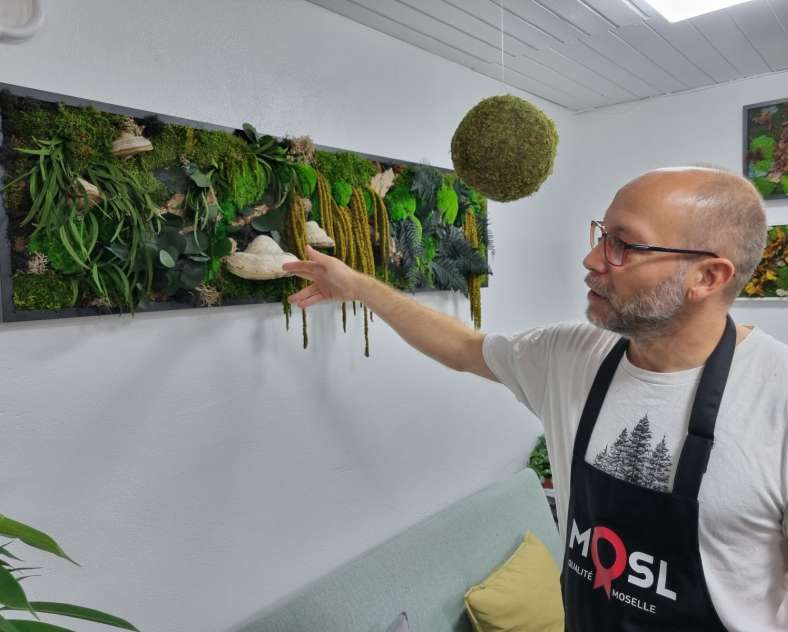 Foret de verre - Woustviller Forêt de verre