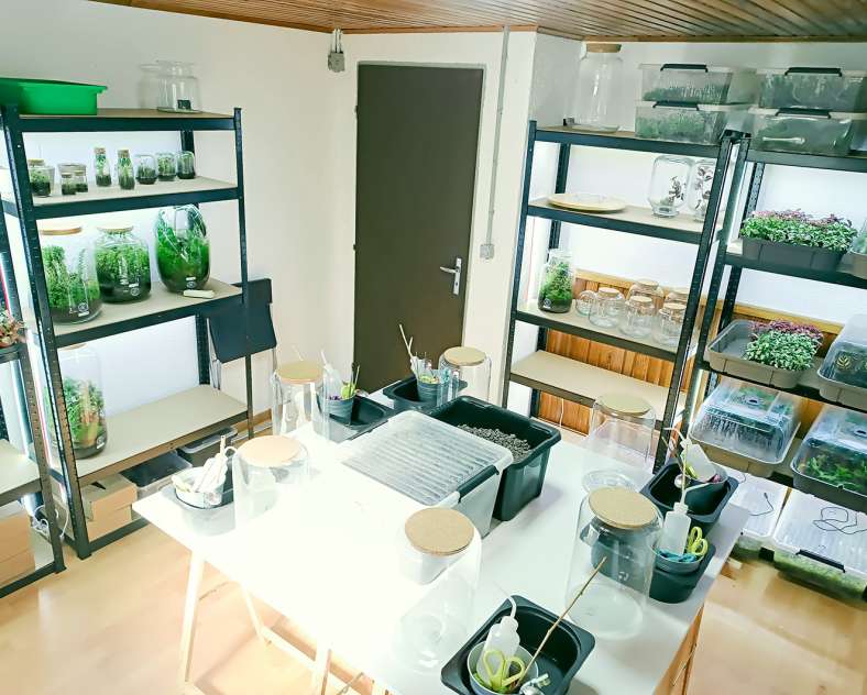 Foret de verre - Woustviller Forêt de verre