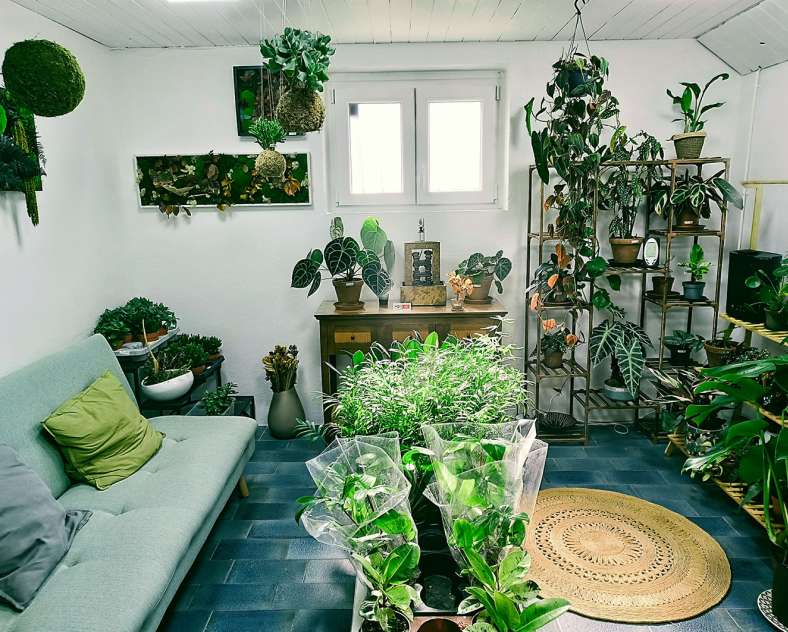 Foret de verre - Woustviller Forêt de verre