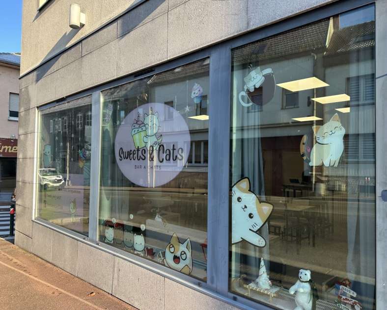 Radio Mélodie Sweets & Cats - Bar à chats