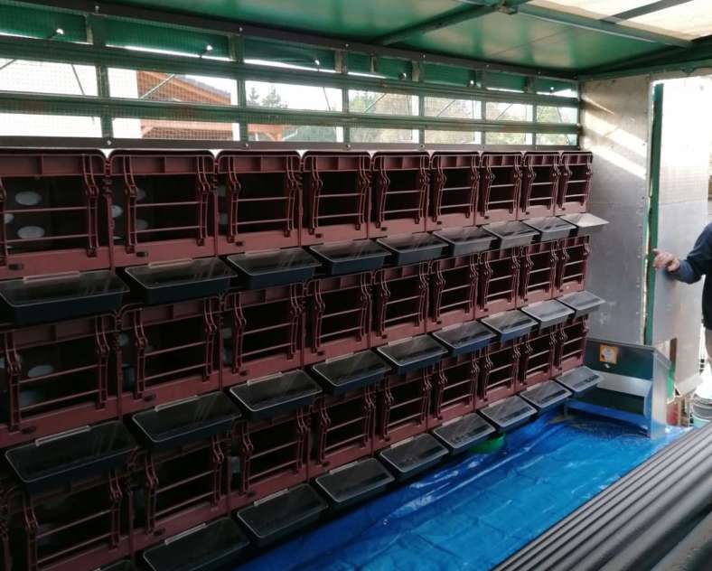 Rébecca Schmitt Rébecca et ses Poulettes - Ferme Gilles Juncker