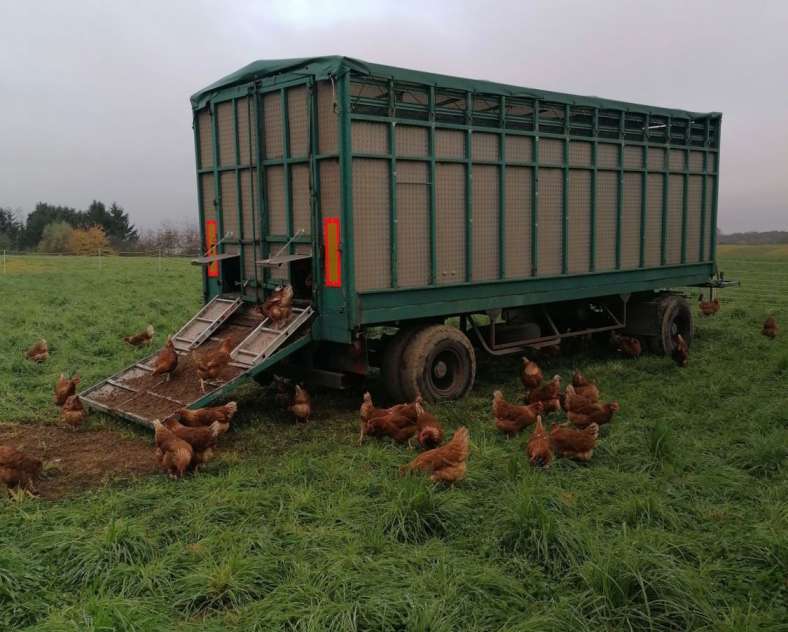 Rébecca Schmitt Rébecca et ses Poulettes - Ferme Gilles Juncker