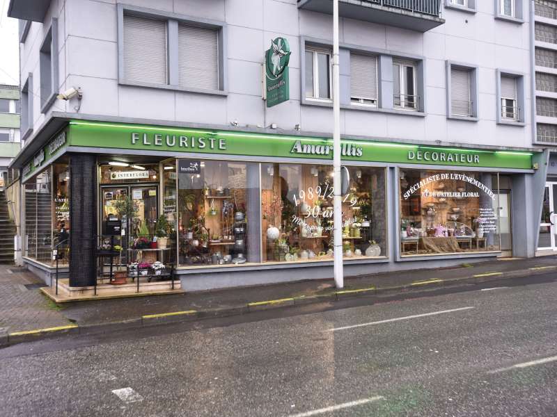 L'Amaryllis Fleuriste l'Amaryllis