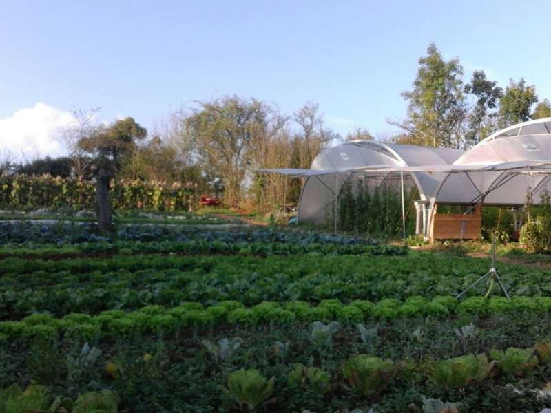 Le Noyer, Grand Potager Bio Le Noyer - Grosser Bio-Gemüsegarten