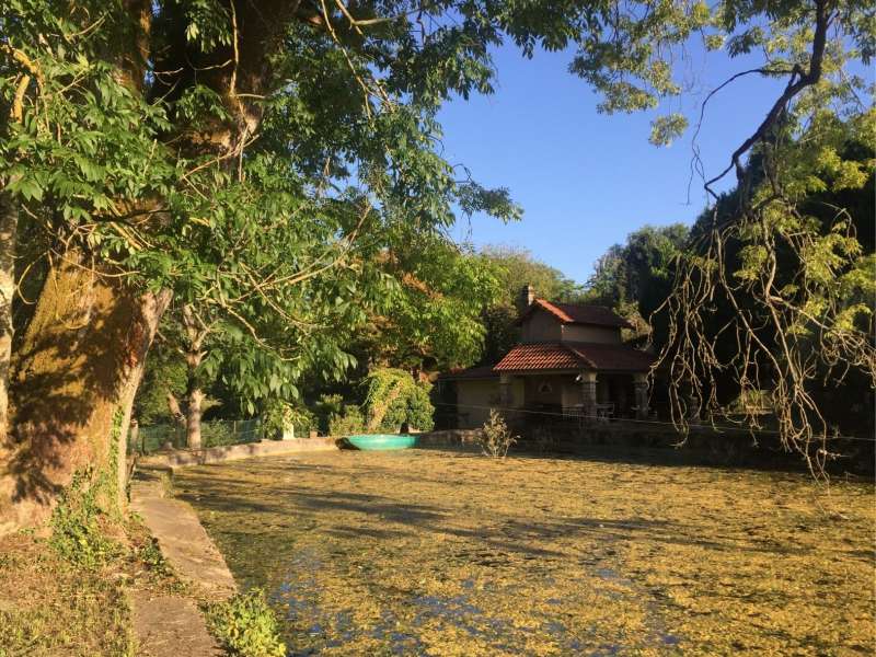 Moselle Attractivité Die Flusskrebse von Jean-Philippe Hames