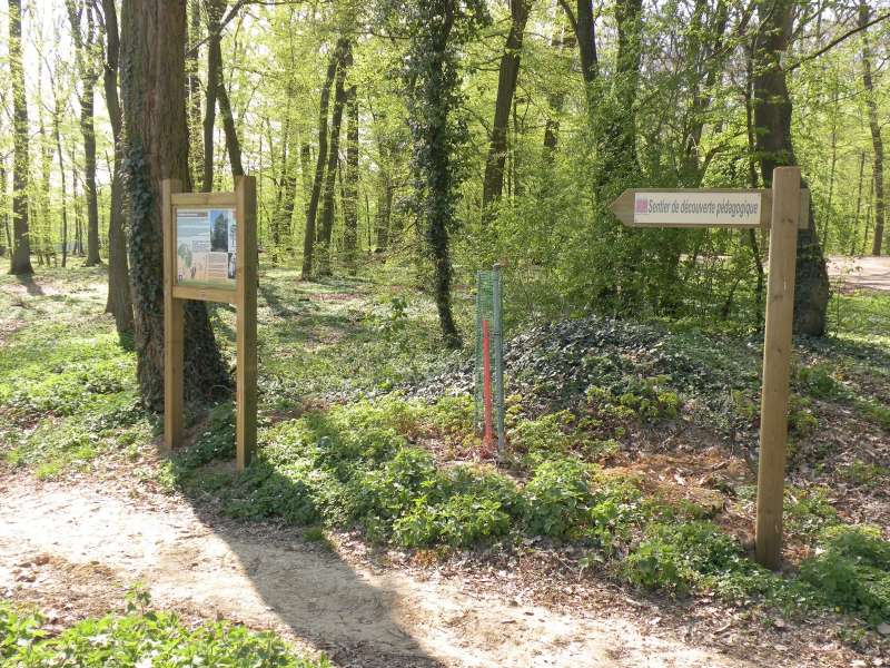 Joël Immer  Entdeckungstour Heklsinger-Wald
