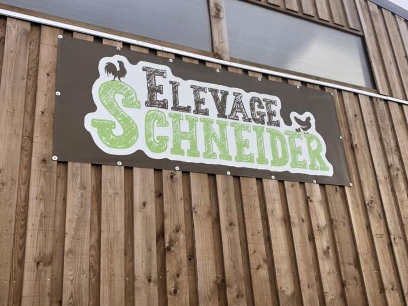 Élevage Schneider Élevage Schneider