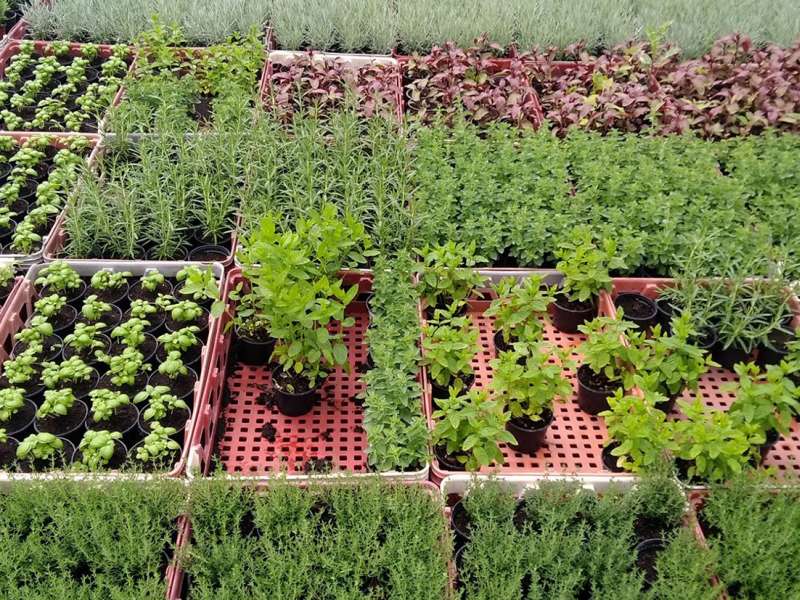 Les Jardins du Val de Moselle  Die Gärten des Moseltals