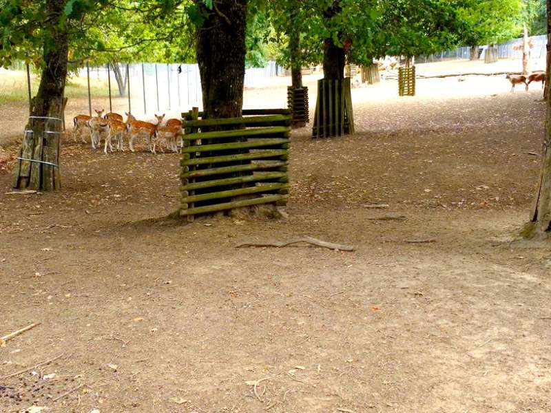 Ville de Woippy Parc du Pâtis