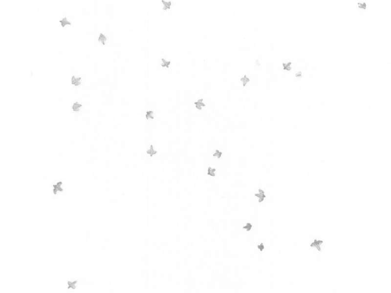 Les allures, François Génot Exposition - Murmurations