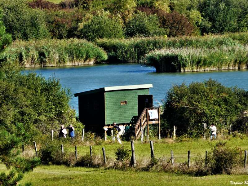 V. BERNHARD Hoste - Valette