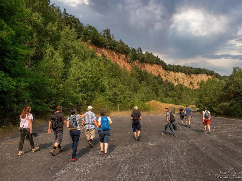 Jean-Marie GUZIK - Les Carnets de Moselle-Est Sur les traces de Mélusine