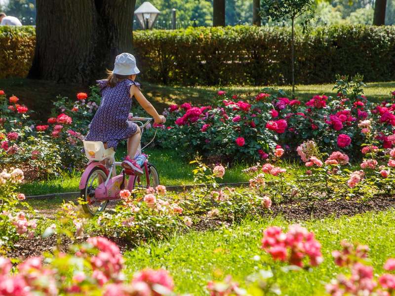 Ville de Thionville S.Thévenin  Napoleon-Park