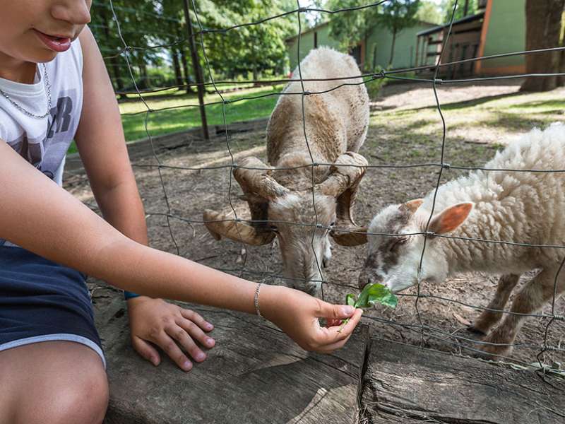 Raoul Gilibert production photographique  Circuit découverte de Florange