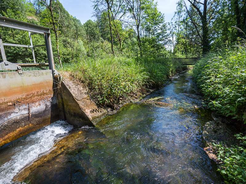 Raoul Gilibert productions photographique  Park der Rotunde